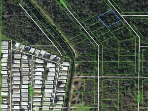 MLS #RX-10984275 image #0