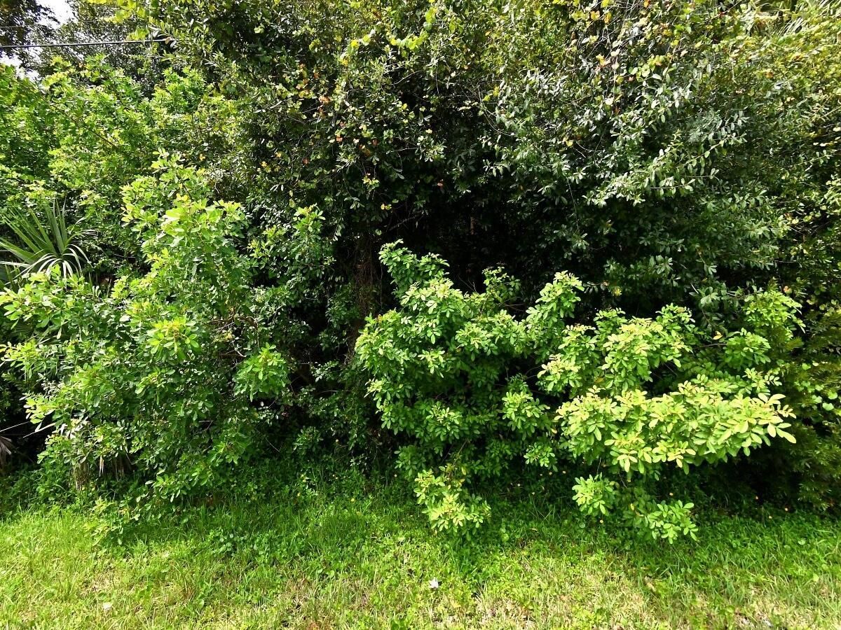 MLS #RX-10997096 image #0