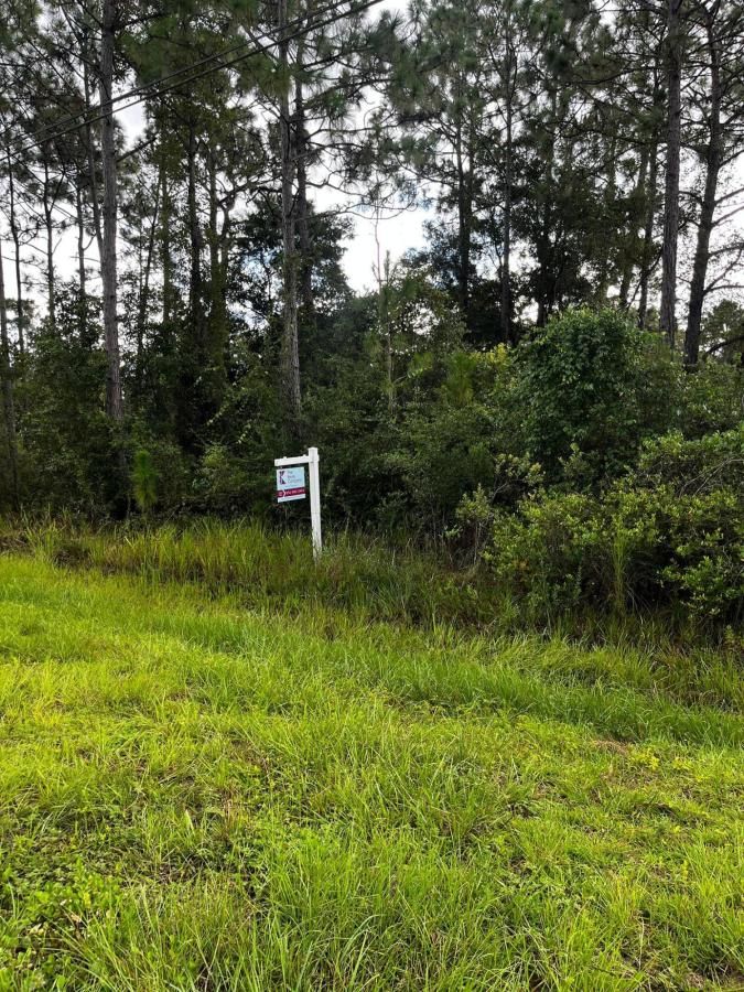 MLS #RX-11016255 image #0