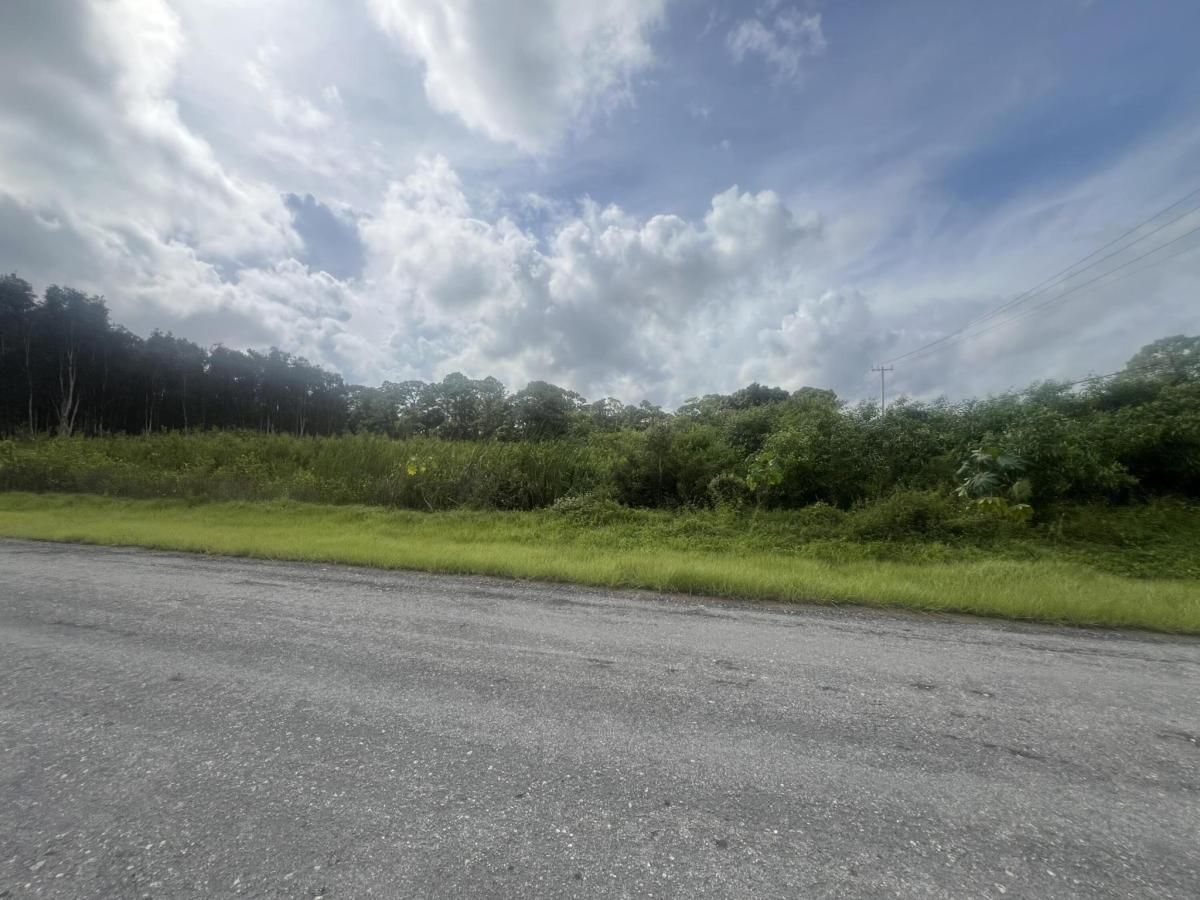 MLS #RX-11023190 image #0