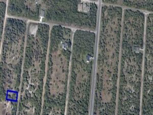 MLS #RX-11027615 image #0