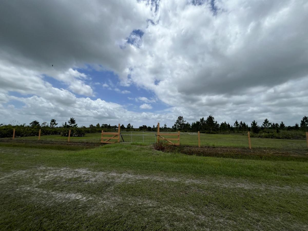 MLS #RX-11047768 image #0