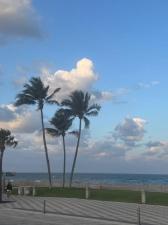 MLS #RX-11062417 image #0