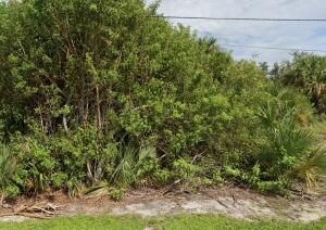 MLS #RX-11066078 image #0