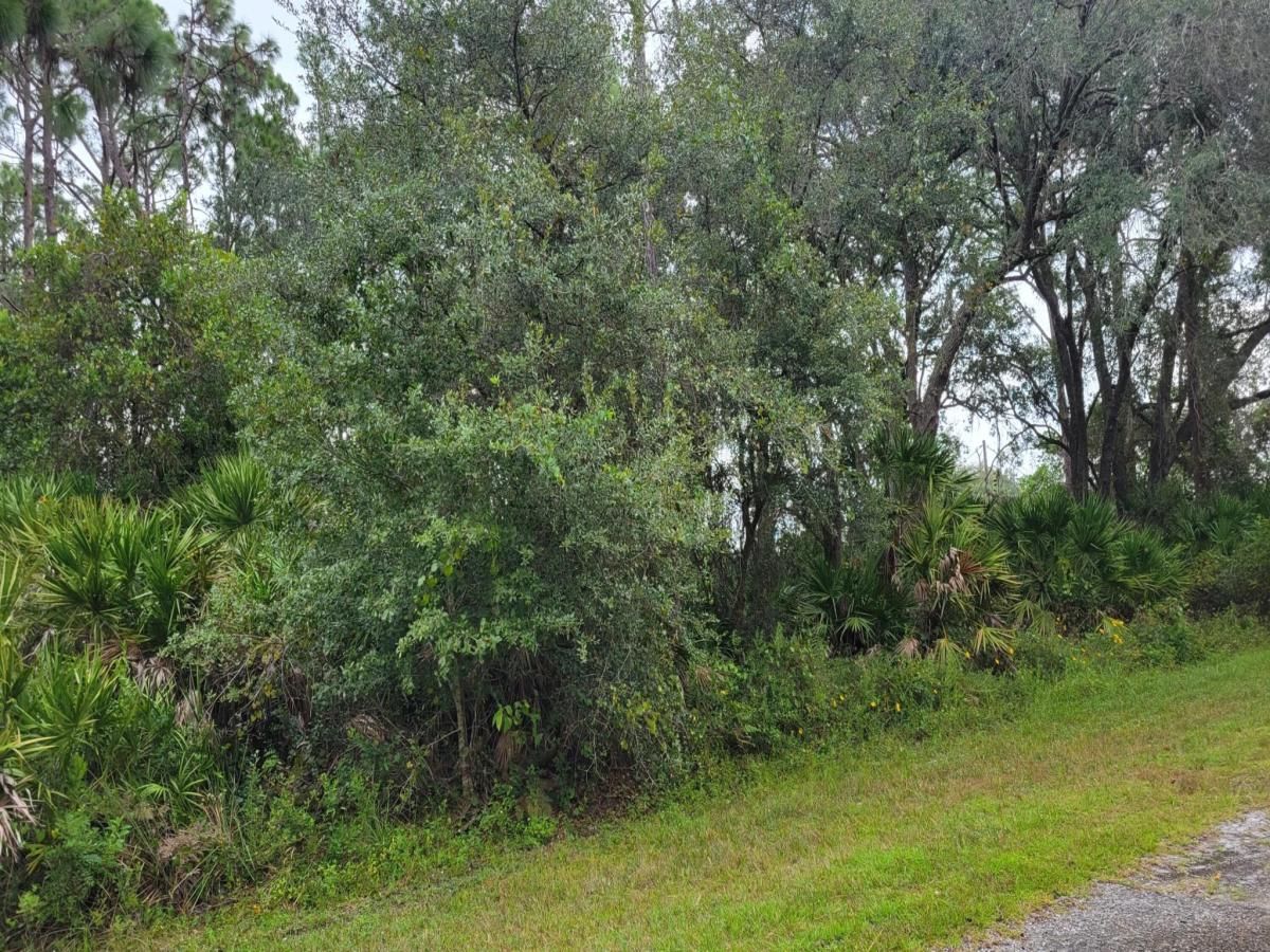 MLS #RX-11069693 image #0