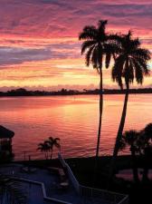 MLS #RX-11071351 image #0