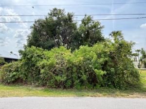 MLS #RX-11074578 image #0
