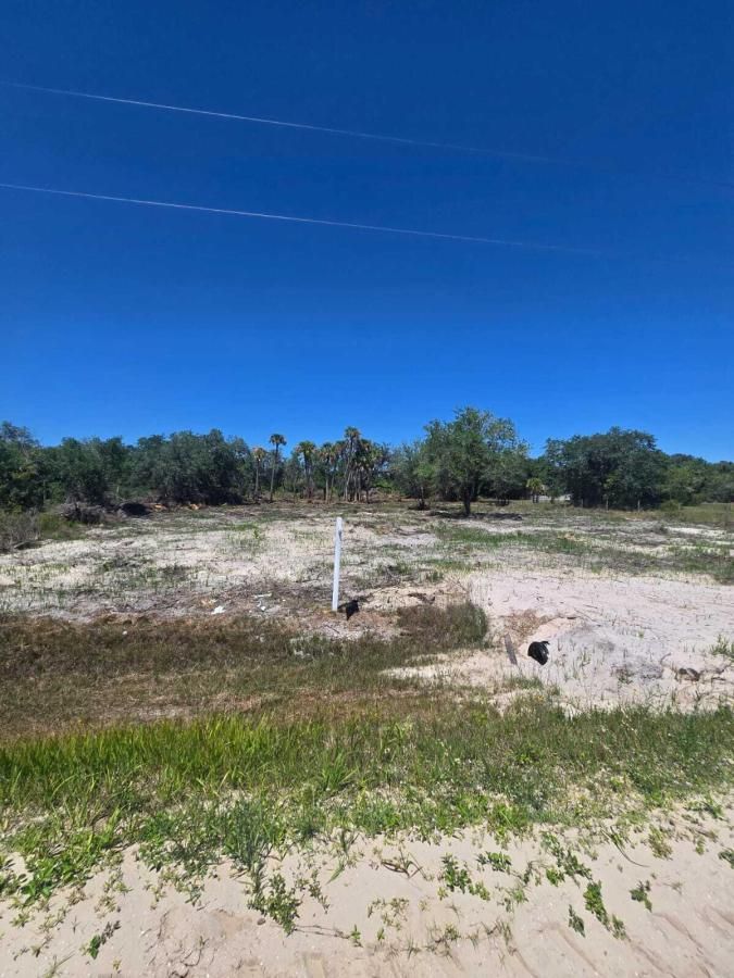 MLS #RX-11076395 image #0