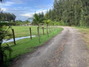 MLS #RX-11092836 image #0
