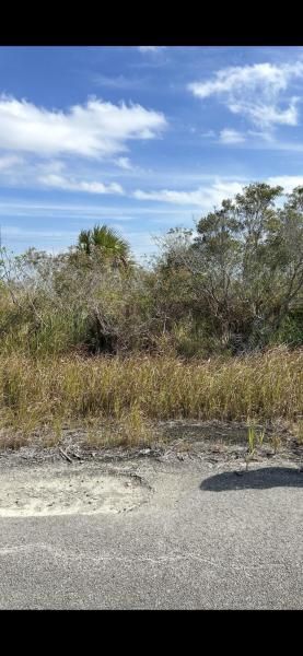 MLS #RX-11096069 image #0