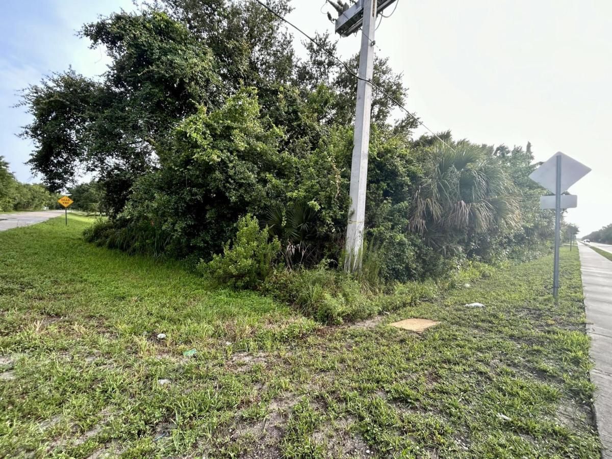 MLS #RX-11096766 image #0