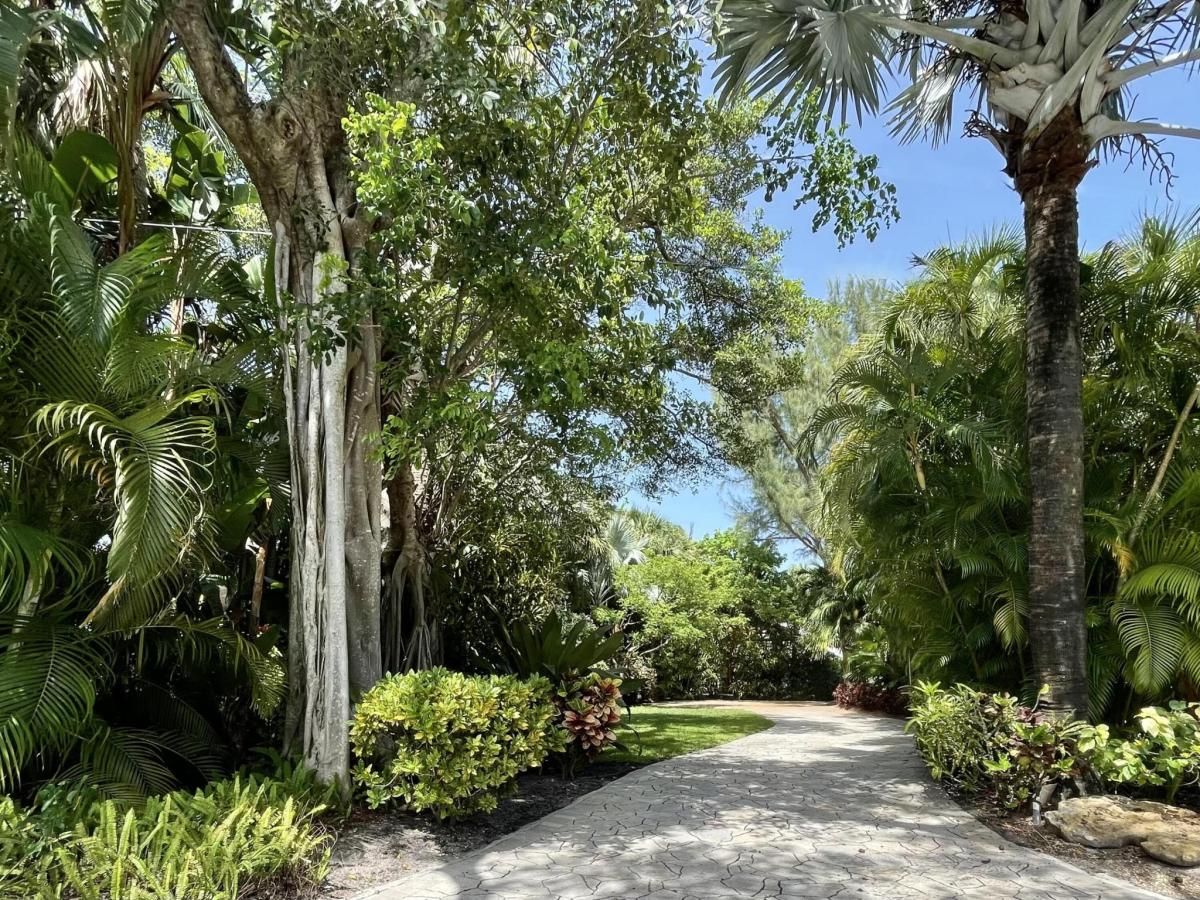 MLS #RX-11098263 image #0