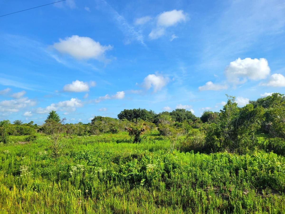 MLS #RX-11099836 image #0