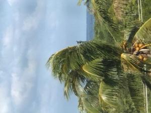 MLS #RX-11103570 image #0