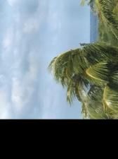 MLS #RX-11103570 image #0