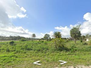 MLS #RX-11103779 image #0