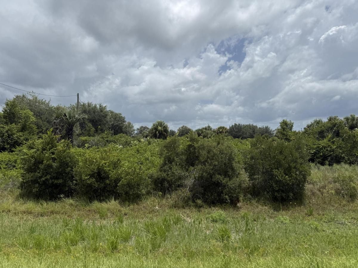 MLS #RX-11105158 image #0