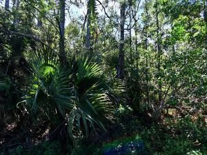 MLS #RX-11107462 image #0