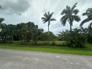 MLS #RX-11109253 image #0