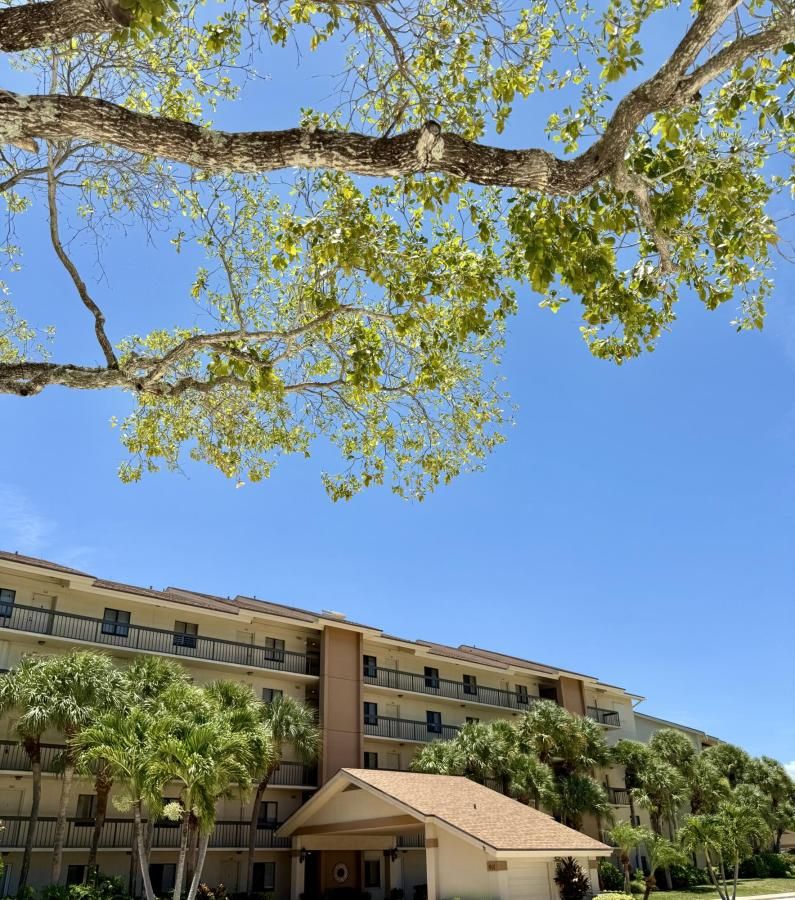 MLS #RX-11111558 image #0