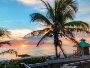 MLS #RX-11112550 image #0