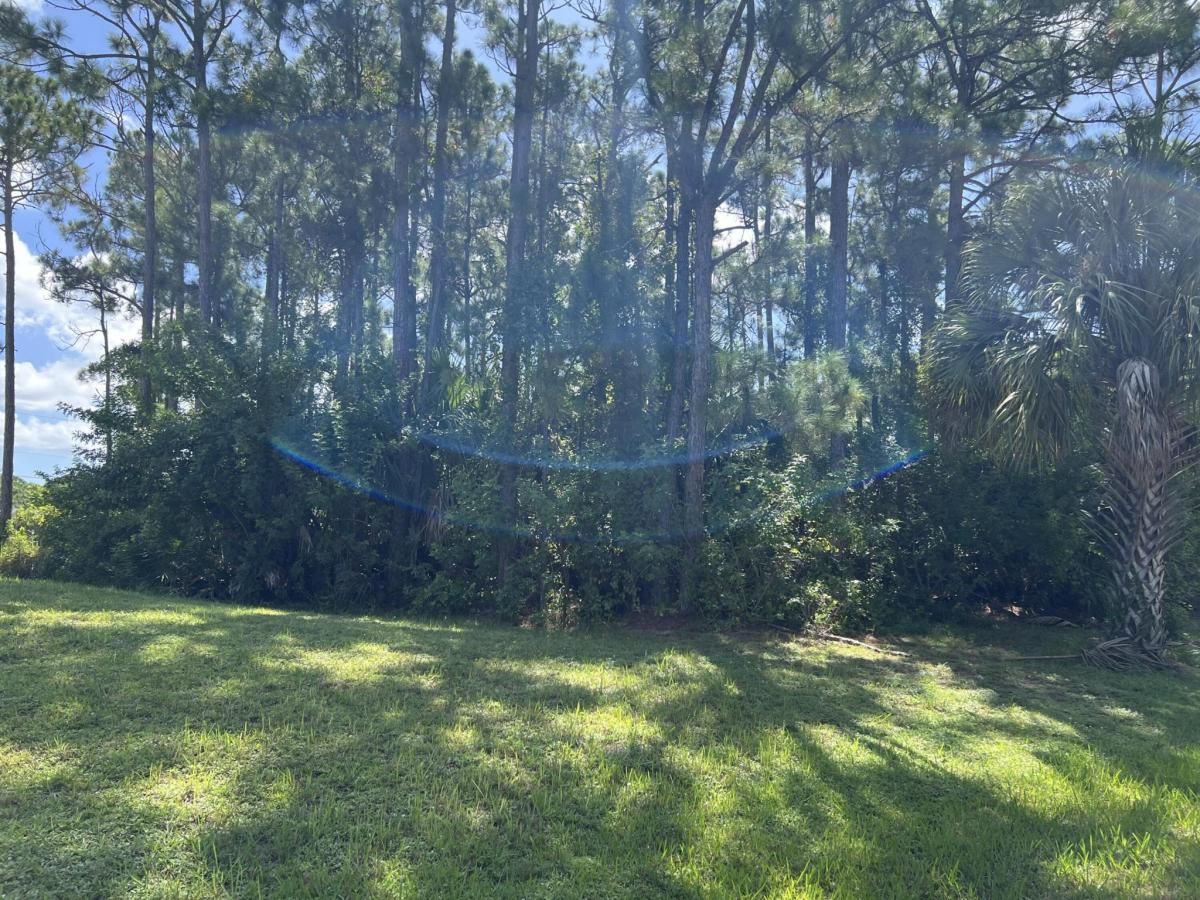 MLS #RX-11115584 image #0