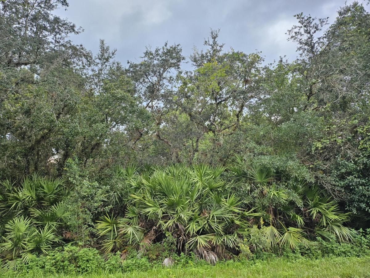 MLS #RX-11117553 image #0