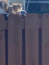 MLS #RX-11120529 image #0