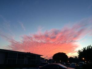 MLS #RX-11113590 image #0