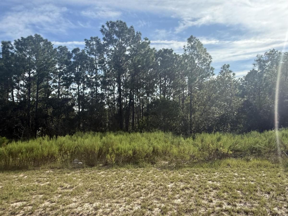 MLS #RX-11122104 image #0