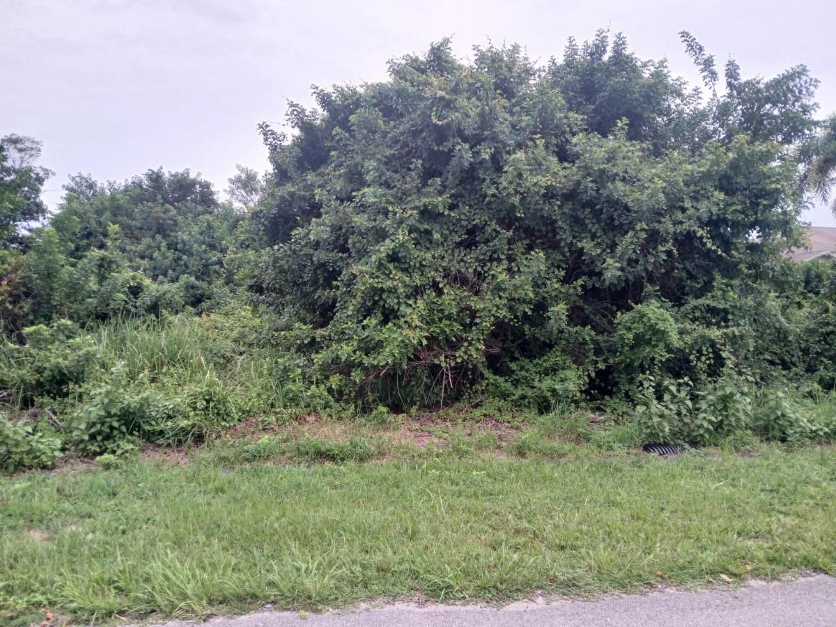 MLS #RX-11124775 image #0