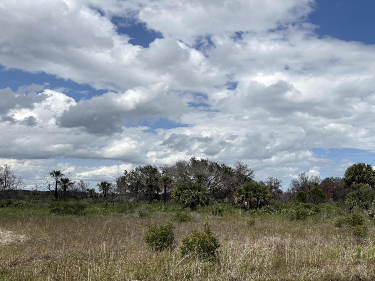 MLS #RX-11126282 image #0