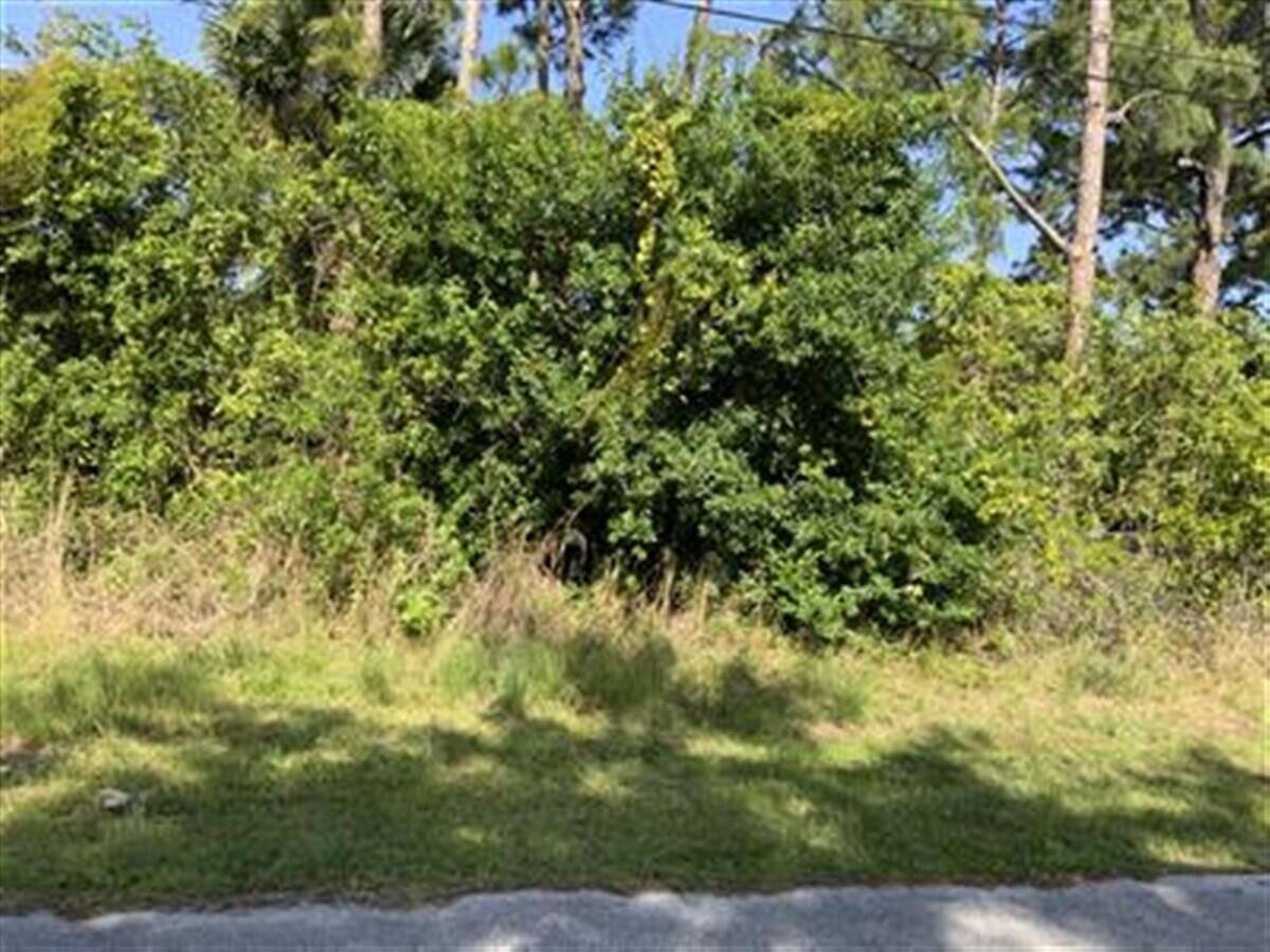 MLS #RX-11128081 image #0