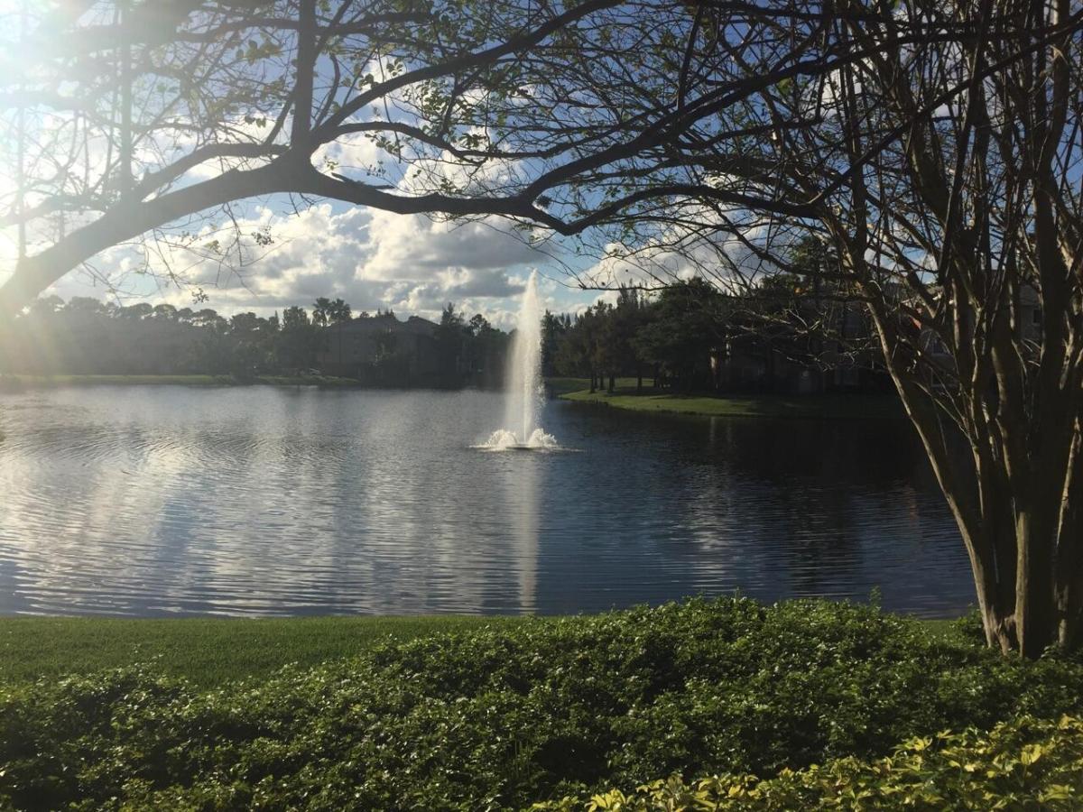 MLS #RX-11131185 image #0