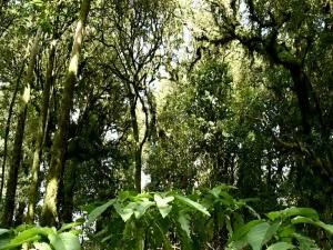 MLS #RX-11133046 image #0