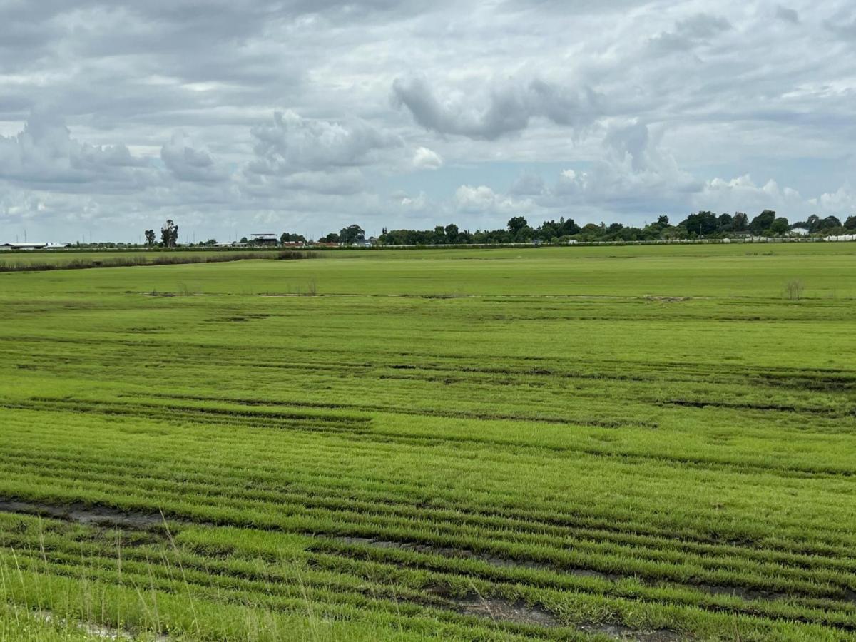 MLS #RX-11133342 image #0