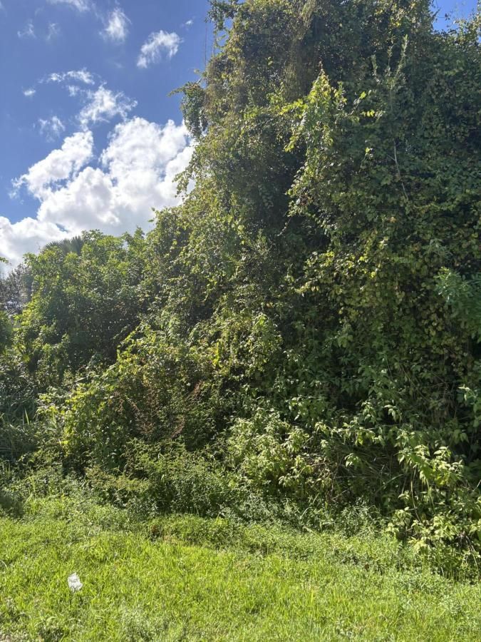 MLS #RX-11135009 image #0