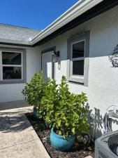 MLS #RX-11136896 image #0