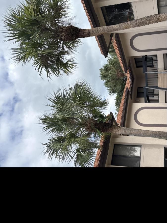 MLS #RX-11137659 image #0