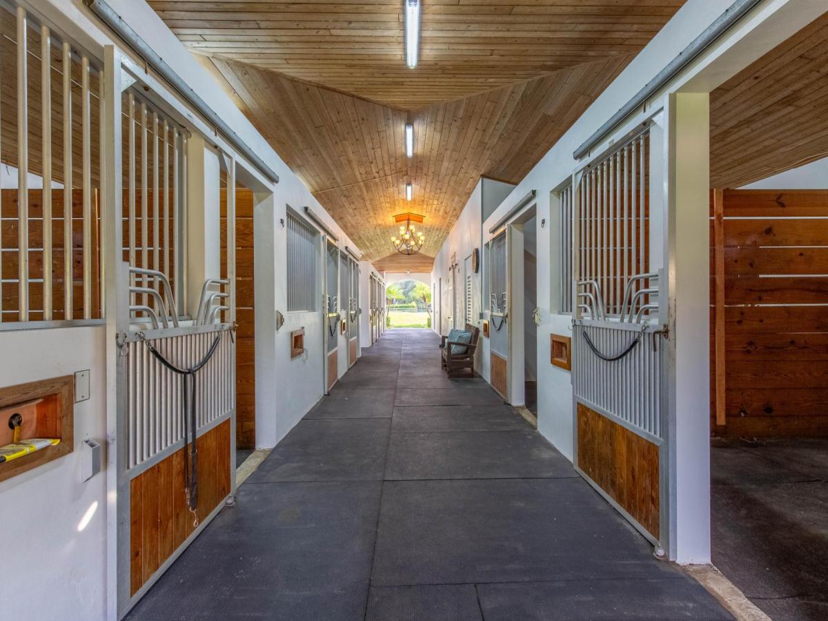 MLS #RX-11138299 image #0