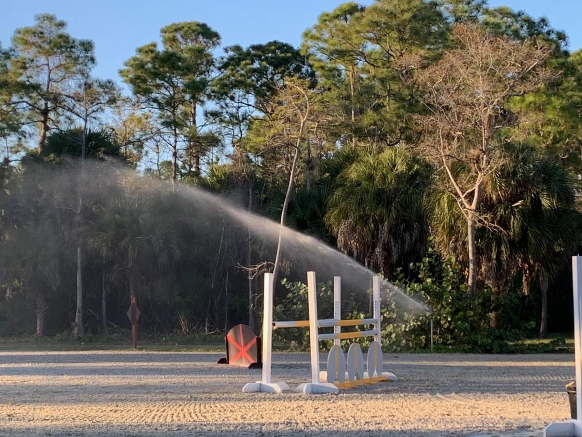 MLS #RX-11138655 image #0