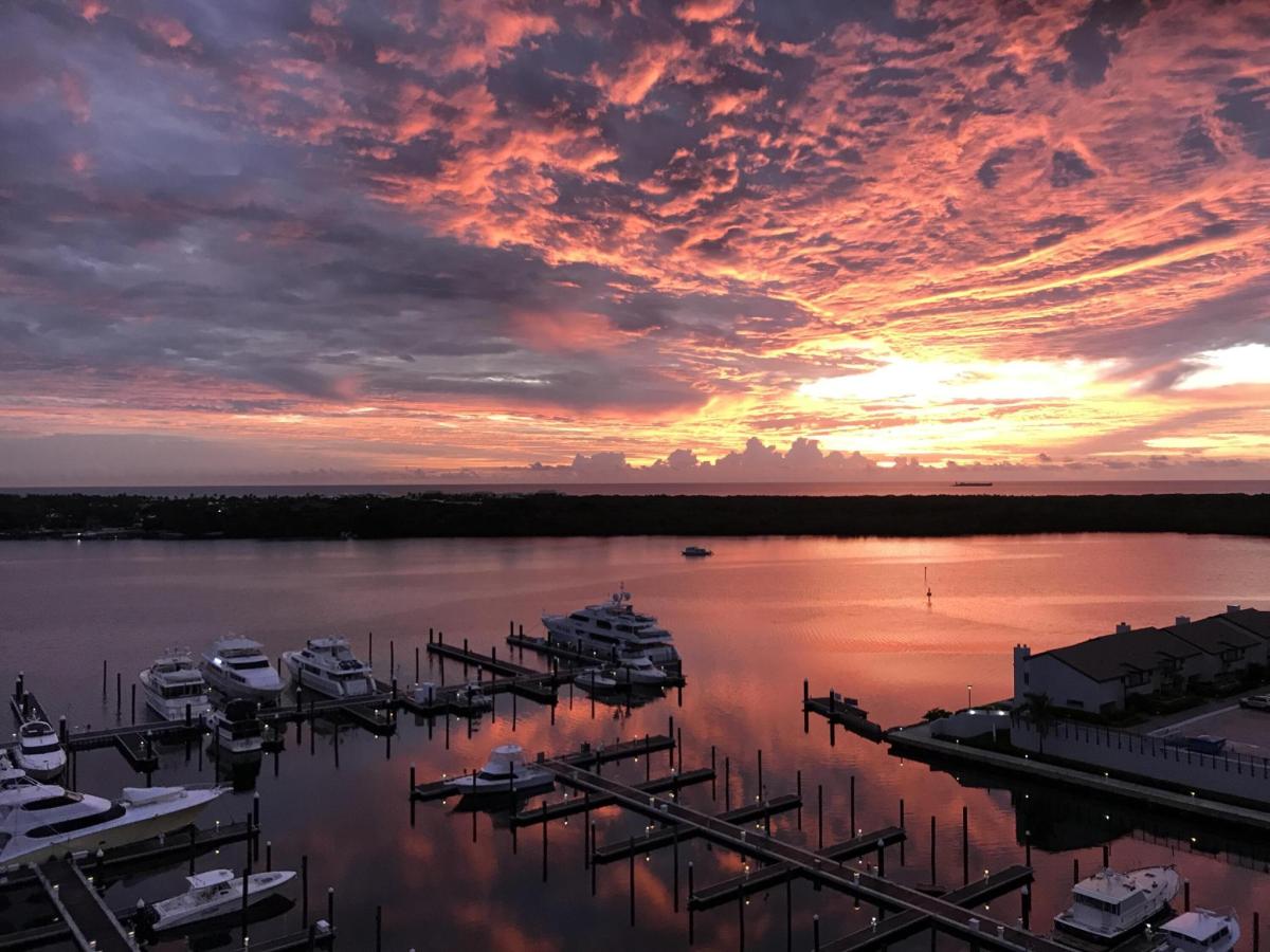 MLS #RX-11139676 image #0