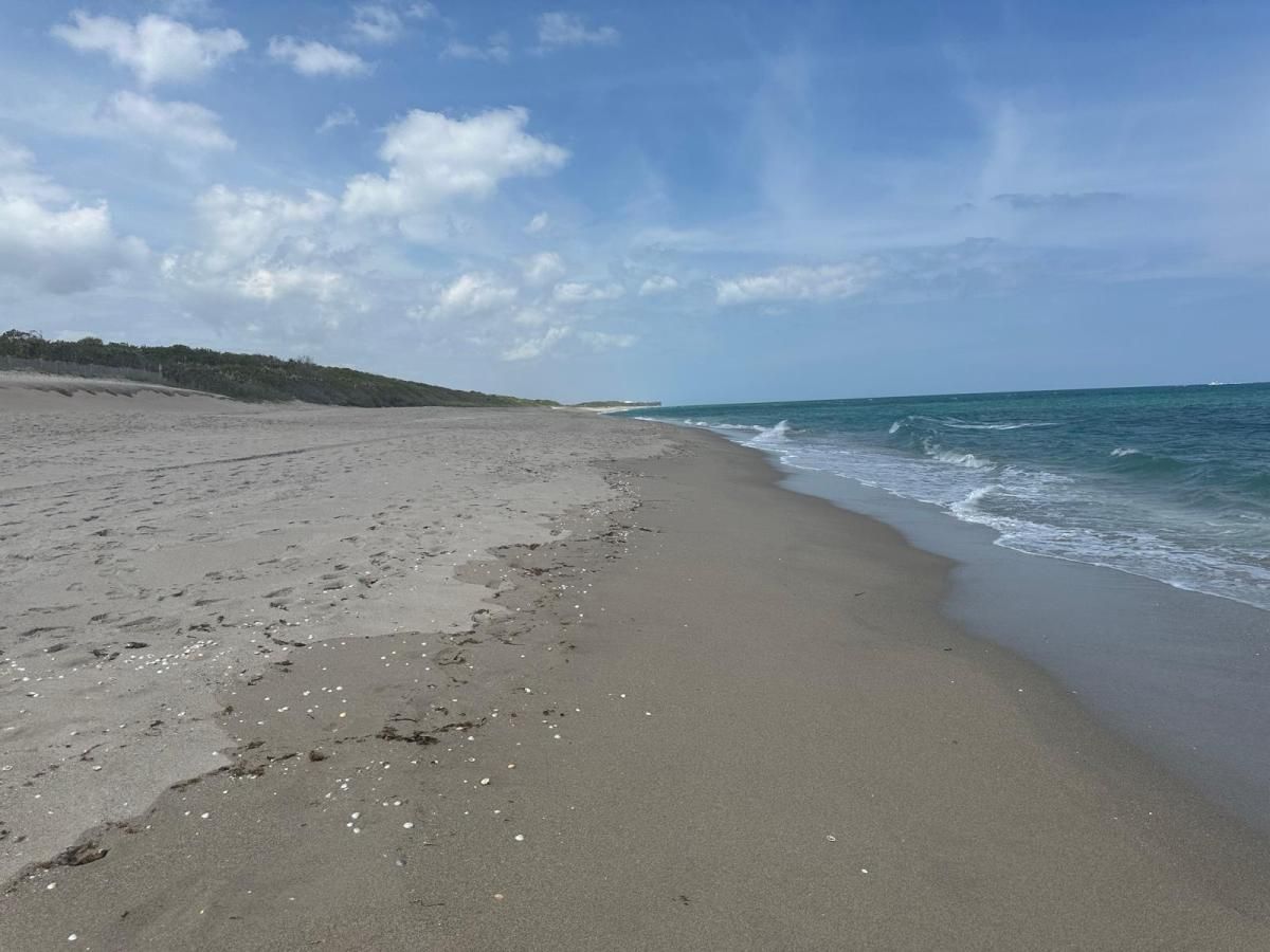 MLS #RX-11140582 image #0