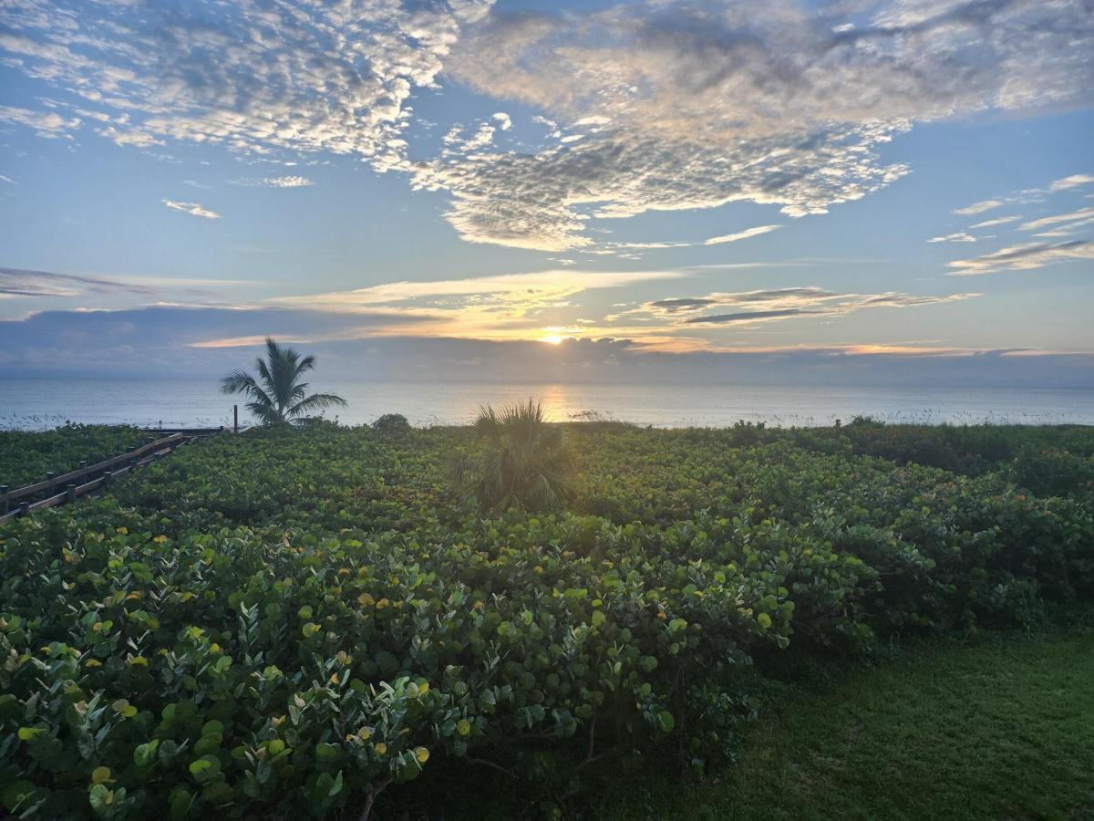 MLS #RX-11144760 image #0