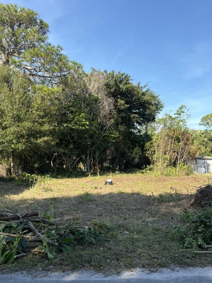 MLS #RX-11145415 image #0