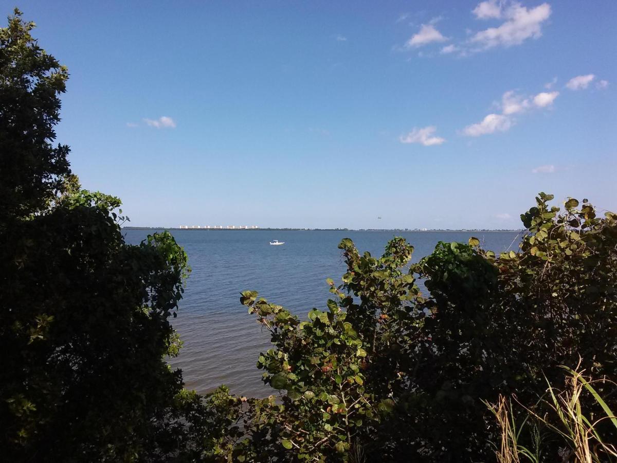 MLS #RX-11146571 image #0