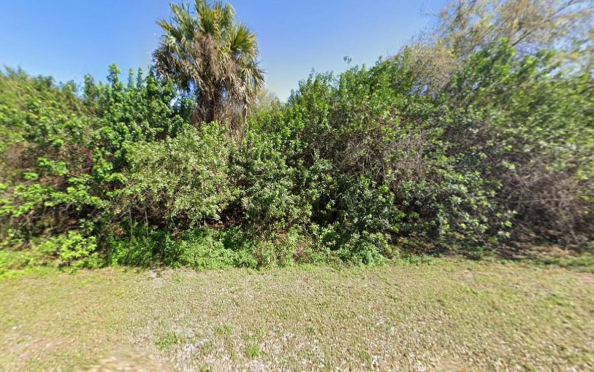 MLS #RX-11147248 image #0