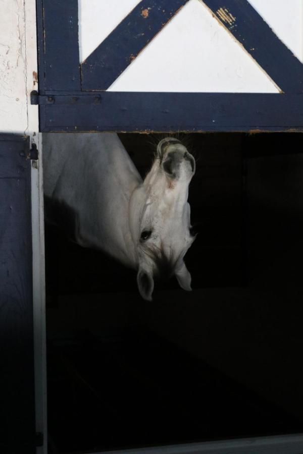 MLS #RX-11152528 image #0