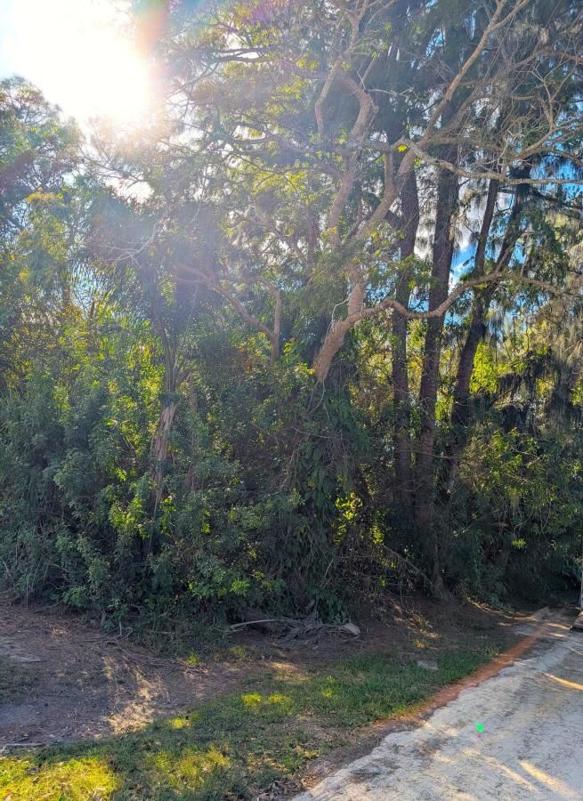 MLS #RX-11153703 image #0