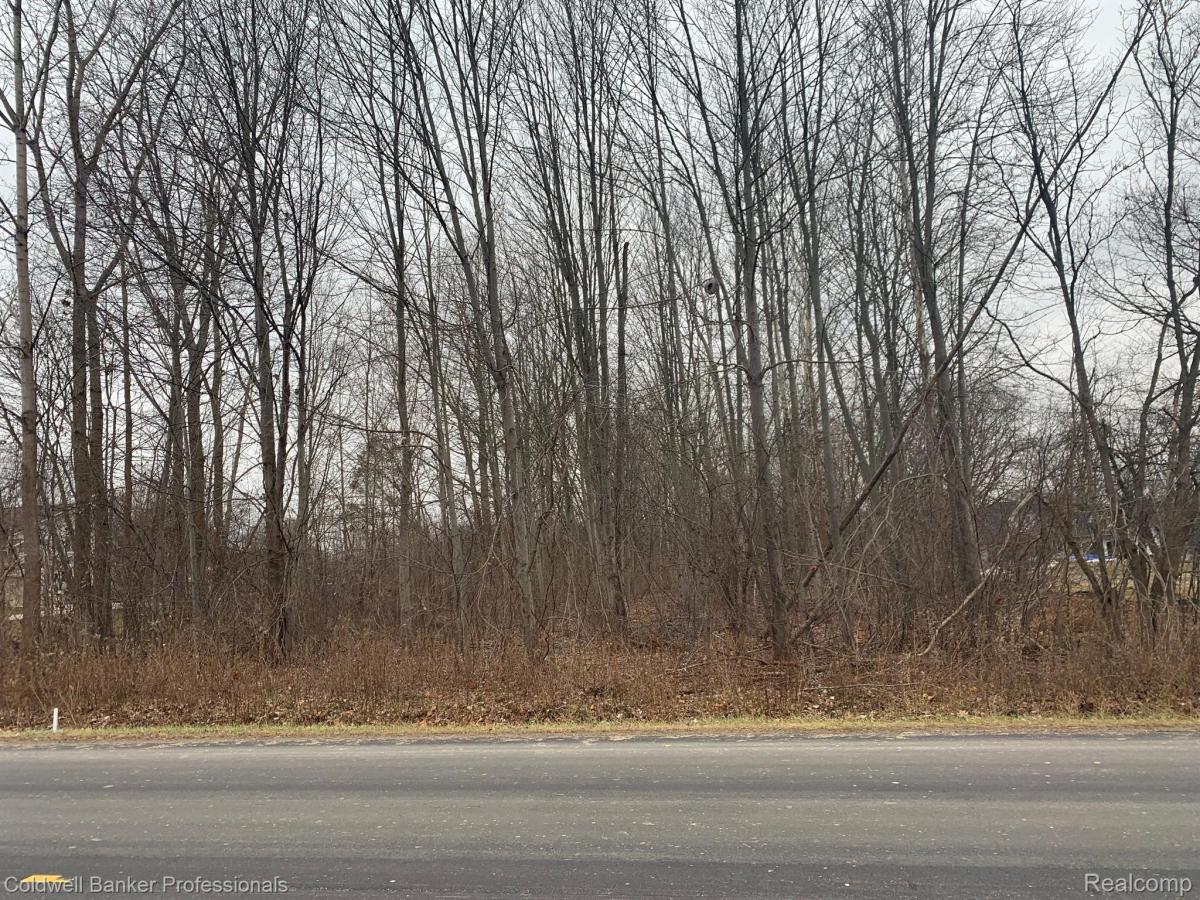 MLS #20221067405 image #0